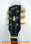 Gibson-ES335-1969-(3)